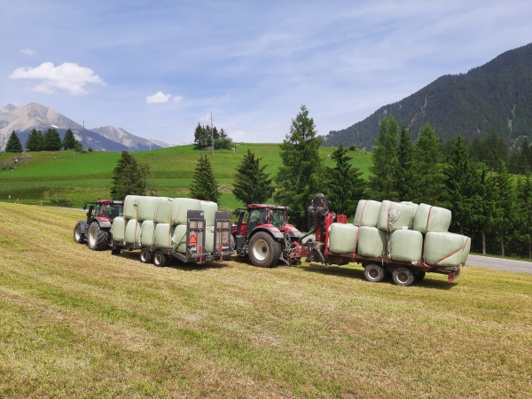 AGROSERV.ch, Cotti Agrar Forst Kommunal, Pirmin Cotti, Caltgera 5, CH - 7456 Sur