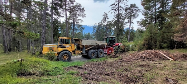 AGROSERV.ch, Cotti Agrar Forst Kommunal, Pirmin Cotti, Caltgera 5, CH - 7456 Sur