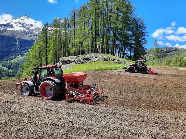 AGROSERV.ch, Cotti Agrar Forst Kommunal, Pirmin Cotti, Caltgera 5, CH - 7456 Sur