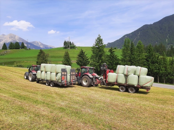 AGROSERV.ch, Cotti Agrar Forst Kommunal, Pirmin Cotti, Caltgera 5, CH - 7456 Sur